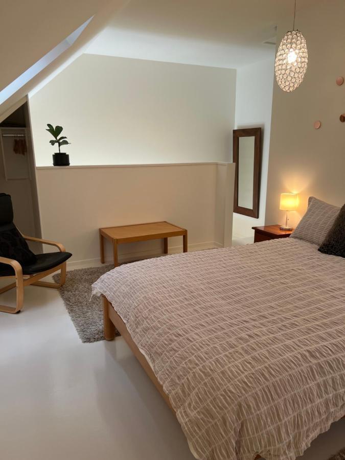 Beech Hill - Pet Friendly Holiday Home Tasman Eksteriør billede