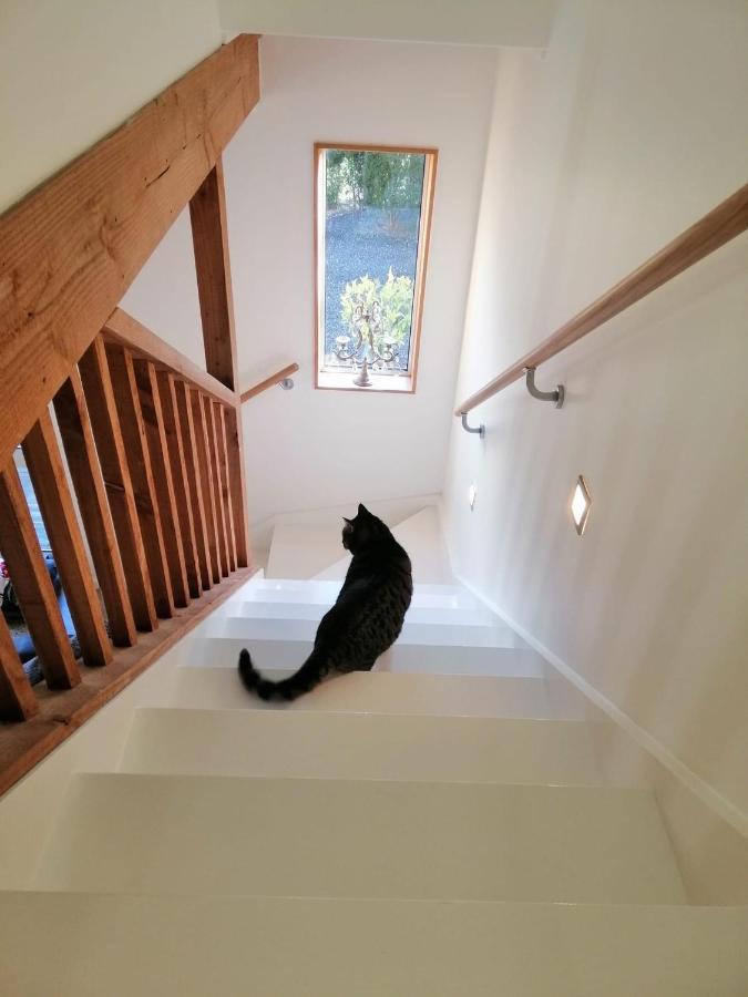 Beech Hill - Pet Friendly Holiday Home Tasman Eksteriør billede