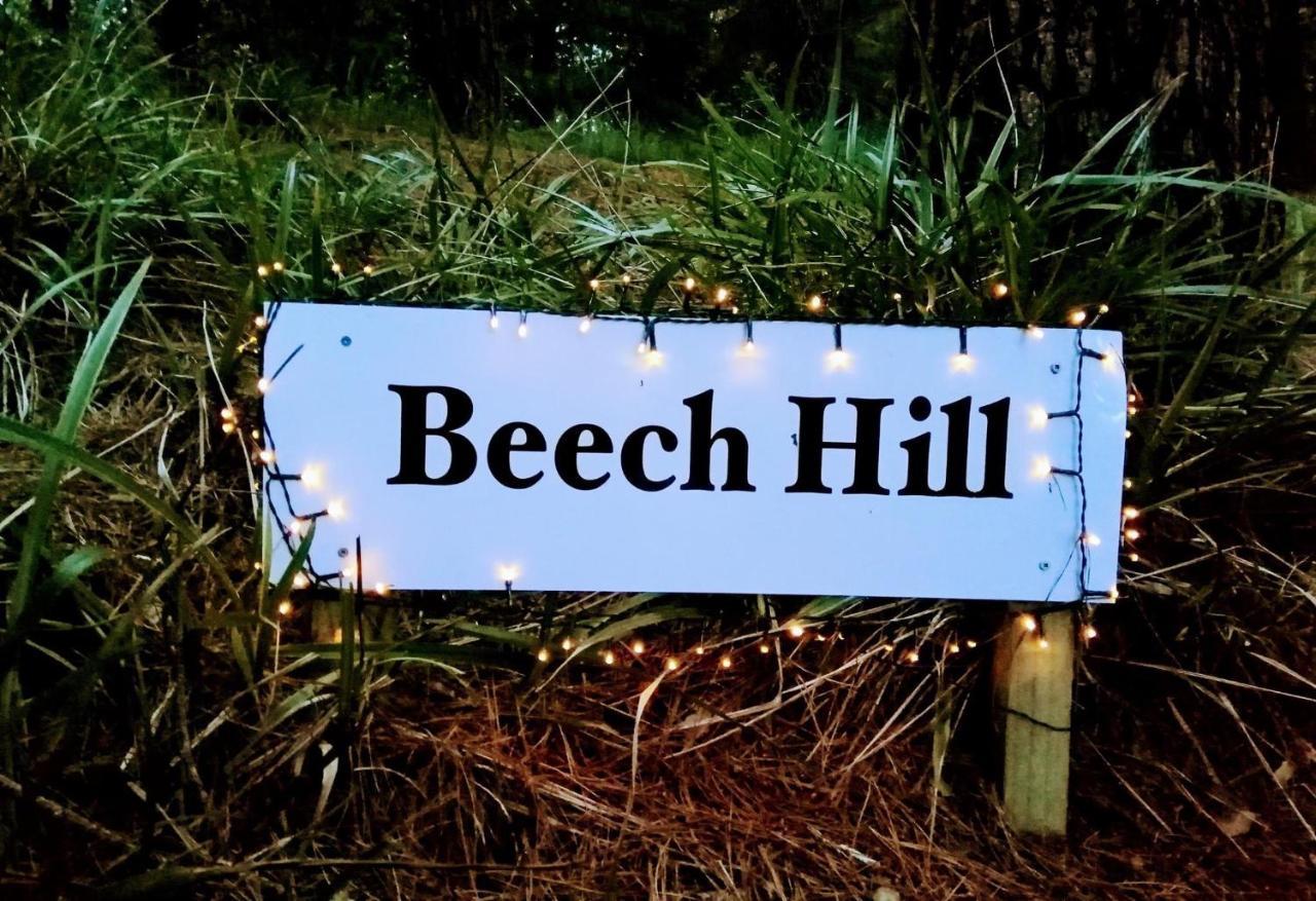 Beech Hill - Pet Friendly Holiday Home Tasman Eksteriør billede
