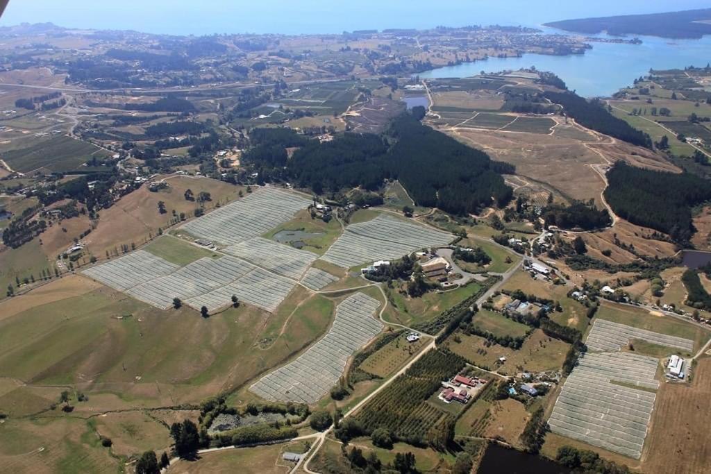 Beech Hill - Pet Friendly Holiday Home Tasman Eksteriør billede