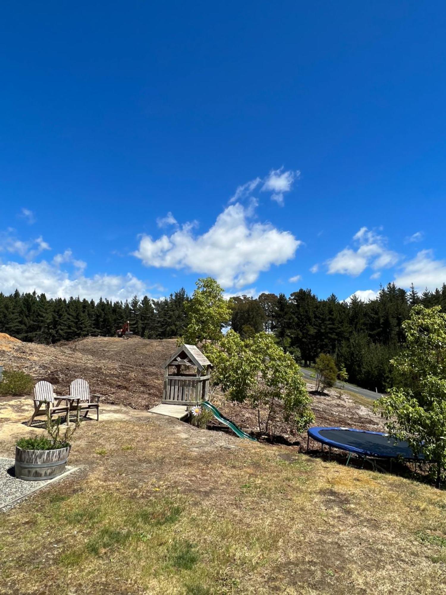 Beech Hill - Pet Friendly Holiday Home Tasman Eksteriør billede